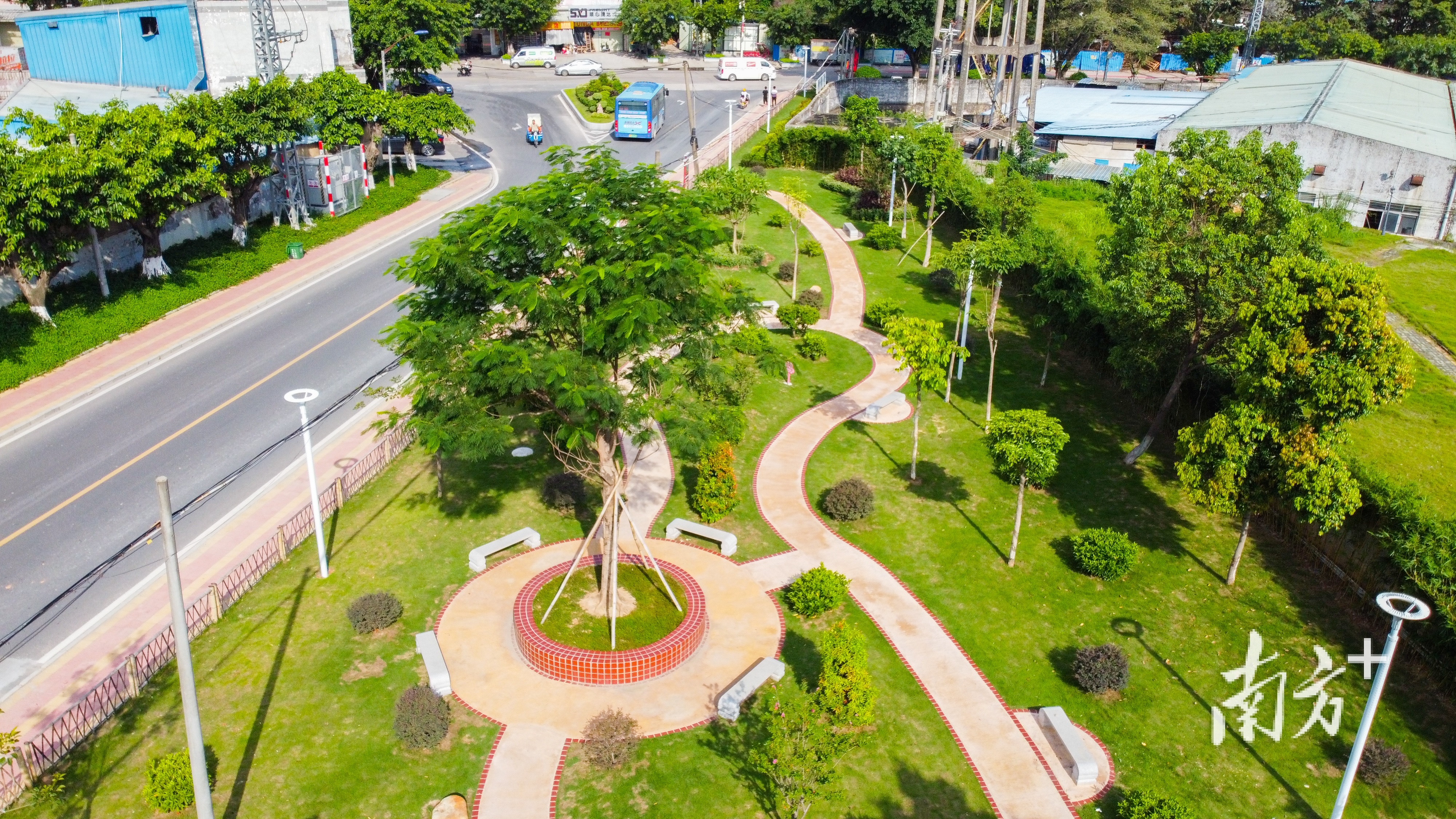 图集|空地换新颜!东莞塘厦40个"口袋公园"亮相