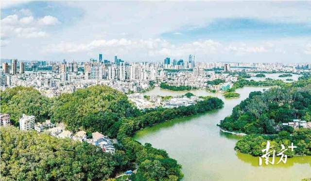 惠州融湾入圈|惠城：“市区一体”谋发展，深度融湾开新局