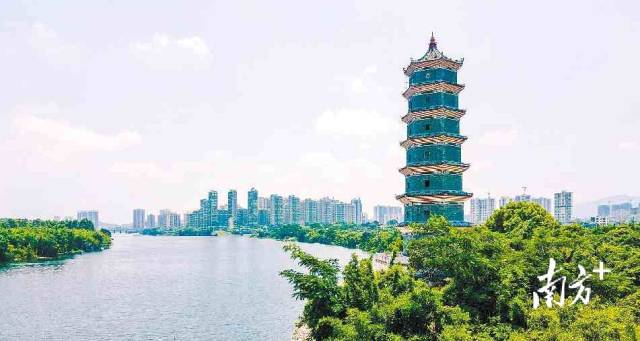 惠州融湾入圈|惠东：抢抓机遇谋山海，蹄疾步稳促发展