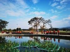 寻找粤美乡村排头兵！第三届“广东十大美丽乡村”系列活动启动