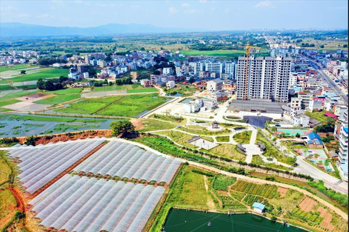 张屋村盘活土地资源，激发乡村振兴新活力。南雄市委宣传部供图