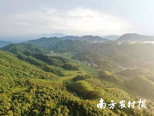 山奢村