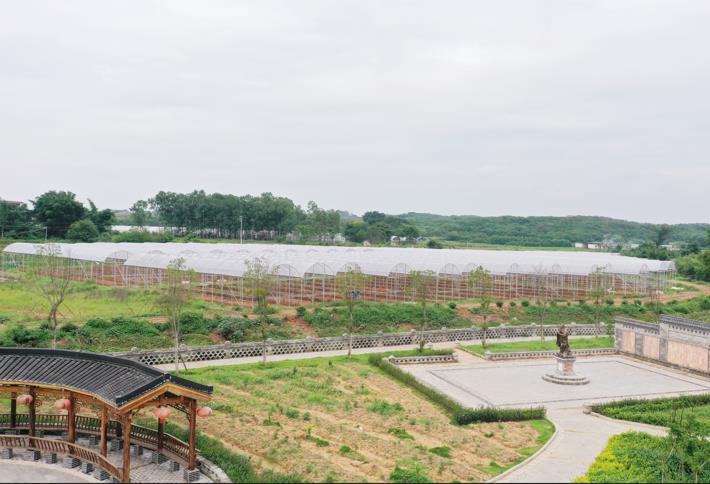 张屋村盘活土地资源，激发乡村振兴新活力。南雄市委宣传部供图