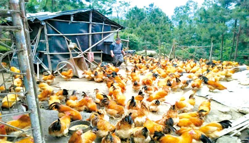 乐竞体育- 乐竞体育官方网站- 乐竞体育APP参与交流 合作共赢