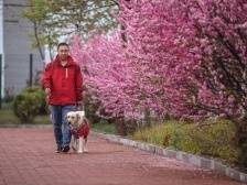 阅政观|用立法形式抓文明，广东为何如此“大阵仗”？