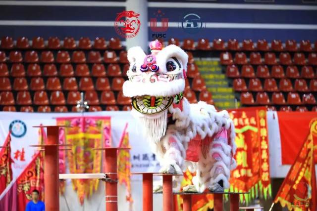 珠海黑马怎么样央视聚焦!首秀出“黑马”!珠海这所学校凭什么能?_新闻资讯_第10张_活检穿刺产品网 珠海黑马怎么样央视聚焦!首秀出“黑马”!珠海这所学校凭什么能?_https://www.jmylbn.com_新闻资讯_第10张