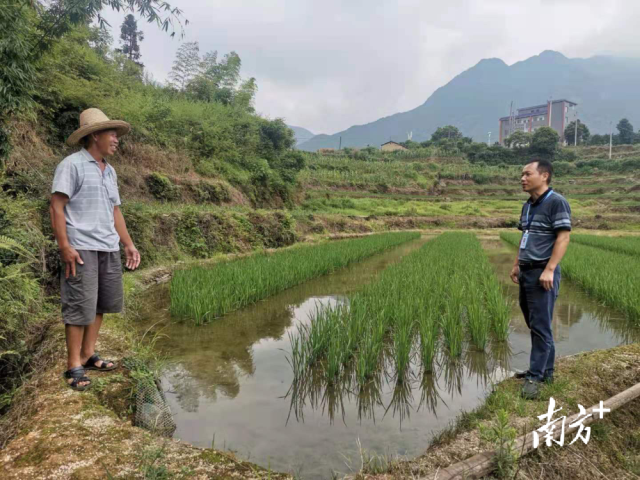 永和镇纪委干部到高廖村禾花鱼基地现场监督检查。