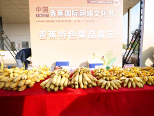 中国（广东）香蕉国际网络文化节在湛江遂溪开幕