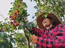 切切实实为荔农办实事