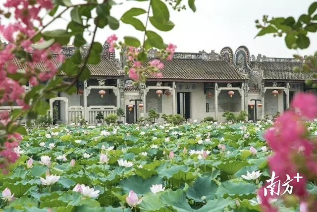 新华街三华村资政大夫祠古建筑群。