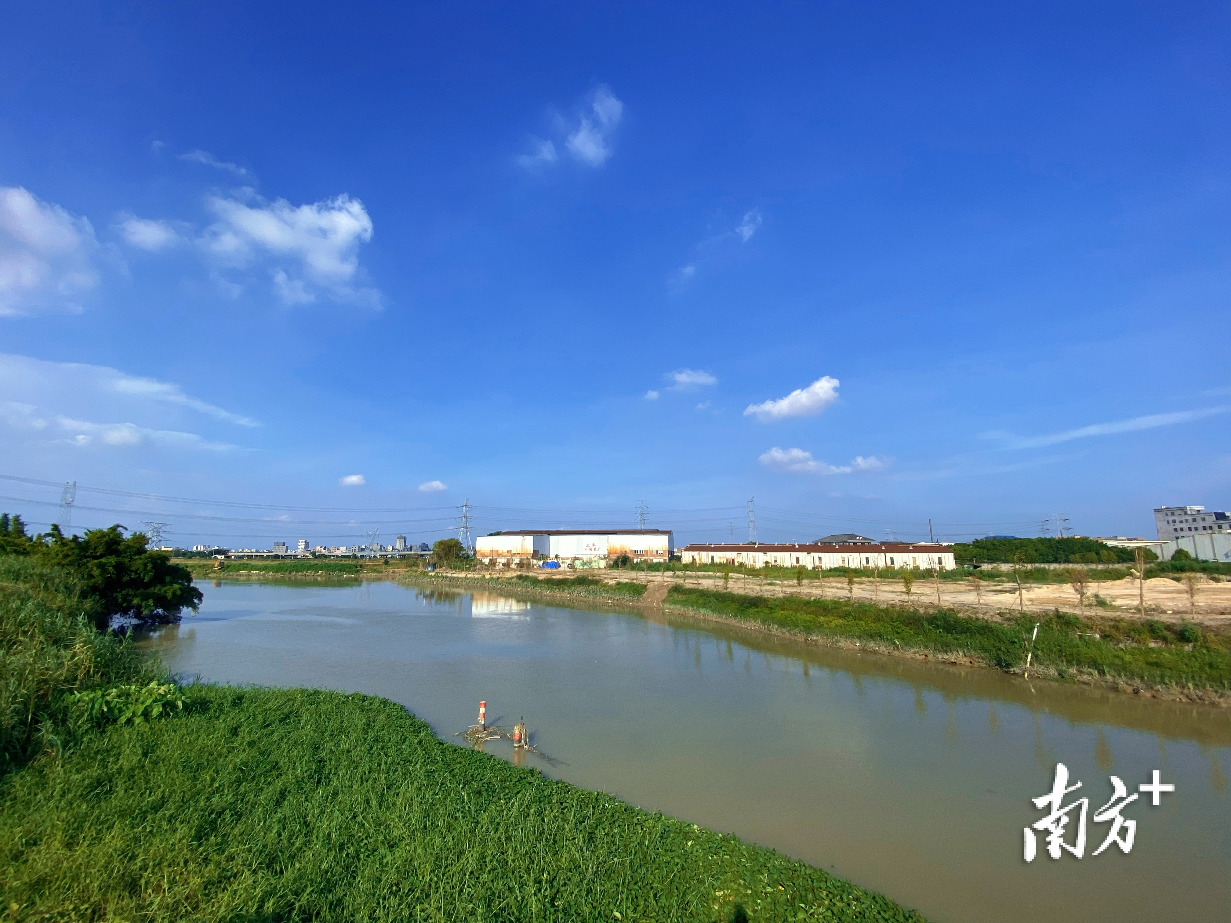 枫江深坑国考断面水质稳定达标。 许钰敏 摄