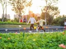 党代会观察⑤｜民本情怀：活力新南海的初心与使命