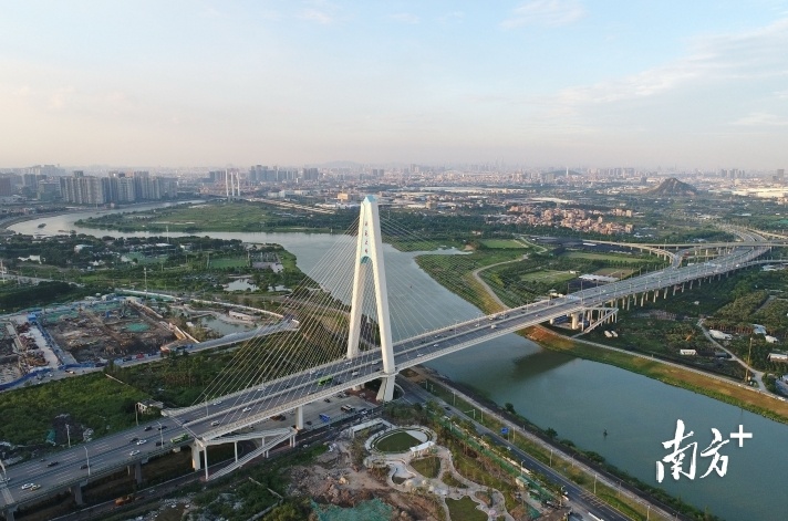  南方日报记者 戴嘉信 摄