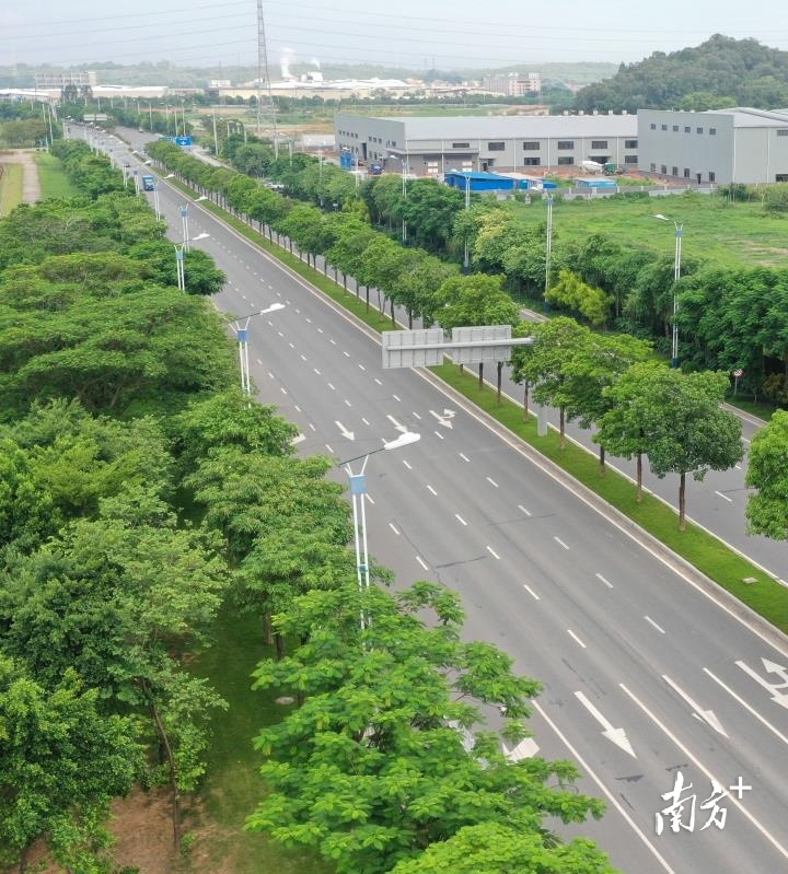 自2018年成功创建成为“四好农村路”全国示范县后，三水继续全面推进“四好农村路”高质量发展。图为Y518塘三线。通讯员供图