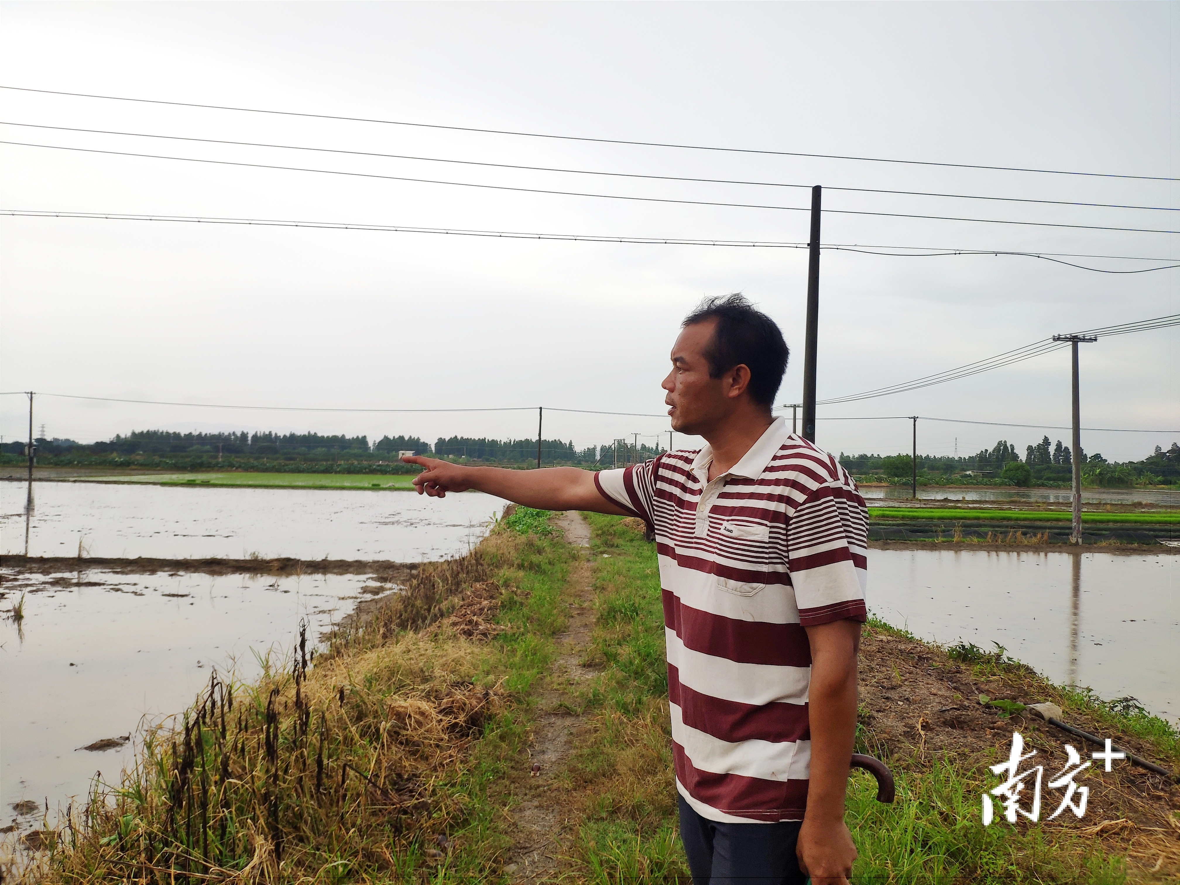 林焕洋介绍下沙村农田规划。黄绍侦 摄