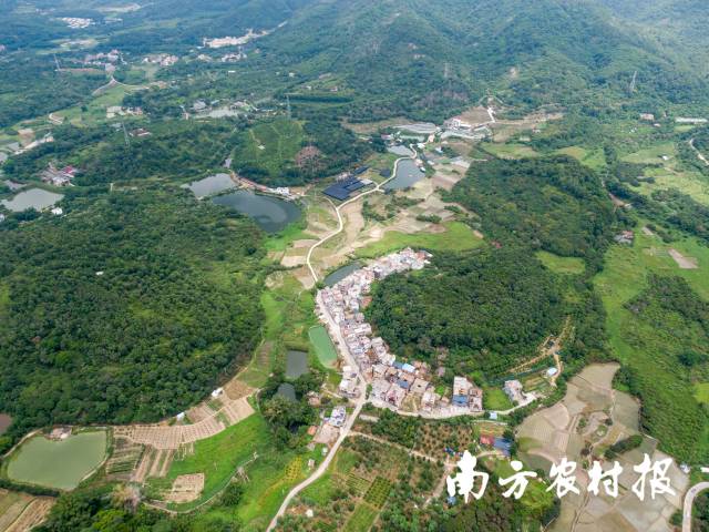 航拍城康村。村内已有数个类似“水果迷城”的家庭农场。