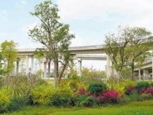 广东高速路，沿线“颜值”这样提升|“九大行动”进行时⑧