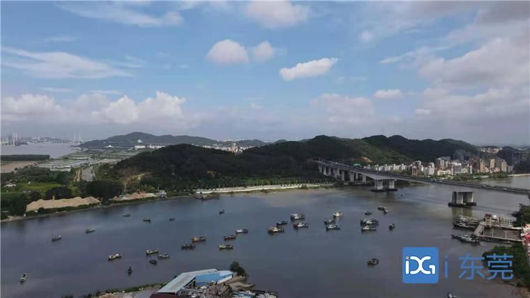 多图直击开渔!虎门新湾渔港数百渔船齐出海