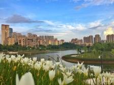 谭艳玲：里水加快推进18个重大项目建设，助力实验区建设