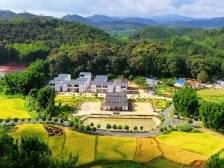 广东文明村镇长这样，有面子有里子|“九大行动”进行时⑨