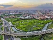 刘浩文：大沥争分夺秒完成“村改大攻坚”，推动“实验区大建设”