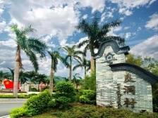 云浮良洞：从农村小屯到美丽乡村的蝶变“三部曲”|小家看小康