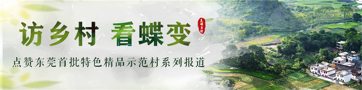 通讯员/受访者 何绮莹 供图