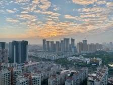 深圳“小巨人”企业宝安最多，有哪些启示？丨寻找深圳专精特新