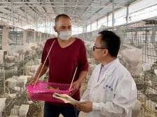 梅州兴宁出台十大措施，让兴宁鸽“飞得更高”