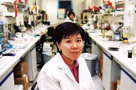 神经生物学家叶玉如 神经生物学家叶玉如