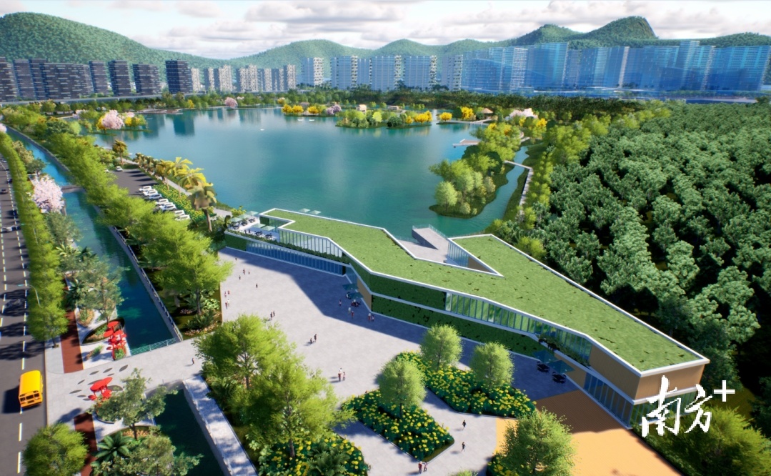 红树林公园效果图。 红树林公园效果图。