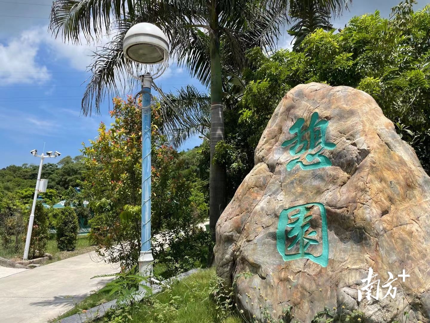 松山憩园选址便利，吸引了许多游客。余丹 摄 