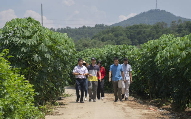 工作队前往罗平镇泗盆村桑树种植基地调研。  南方+ 董天健 拍摄