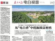 “电白香”如何挖掘致富密码？|速览《南方日报·电白视窗》42期