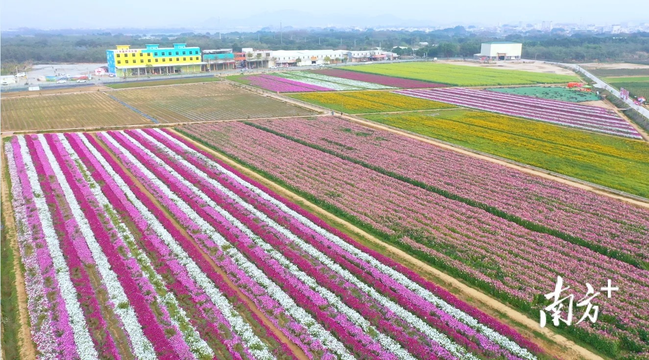 美丽乡村加快了农旅结合的步伐。受访者供图