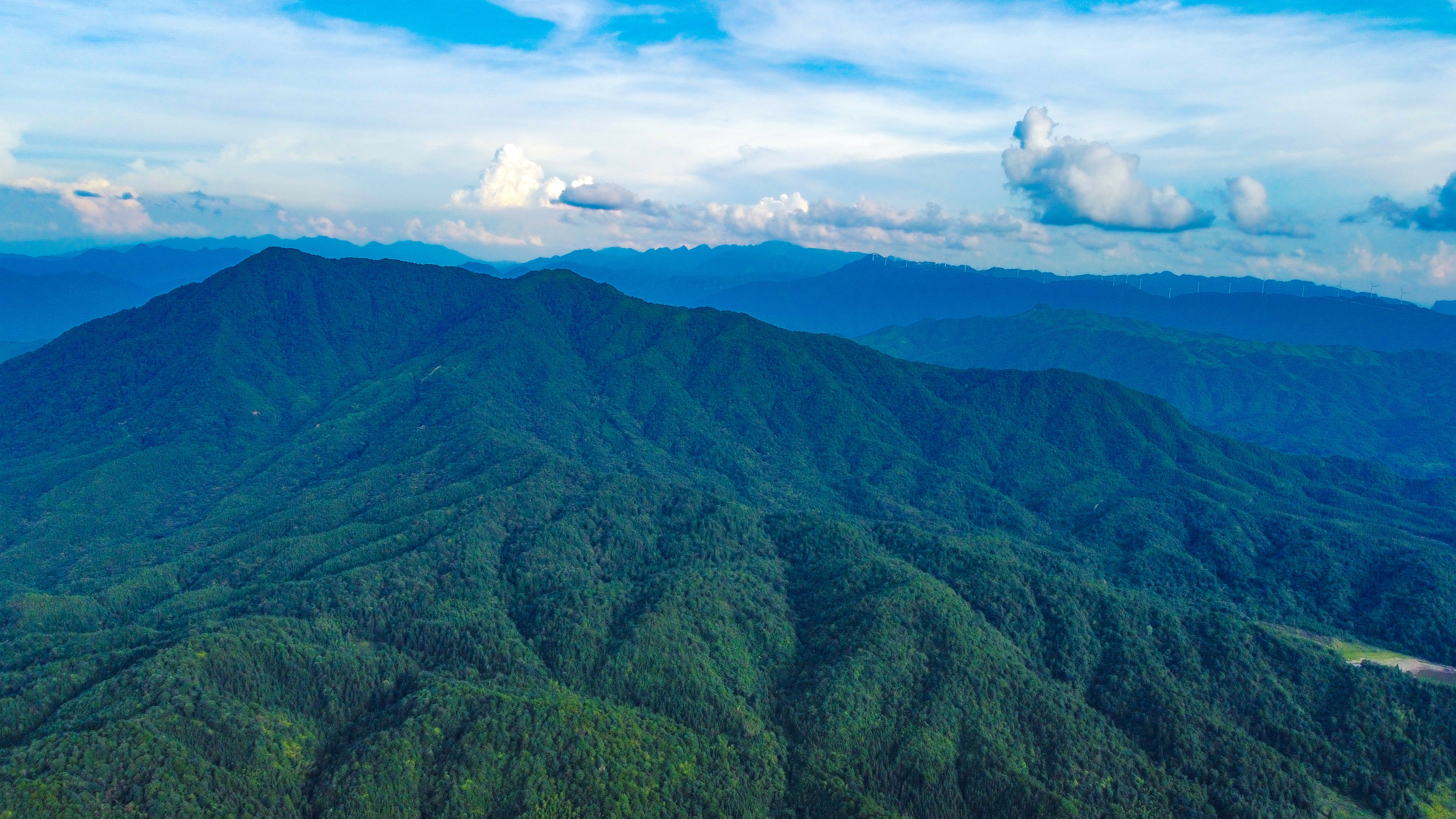 龙德农庄所在地航拍图。李巧摄