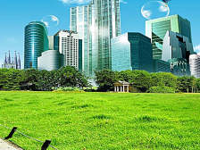 个人减排行为变资产，距离变现还有多远？｜“碳”路新机