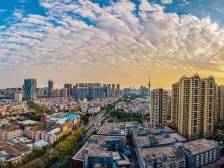 寻找新趋势、探究新活力，南方+系列述评发现新禅城