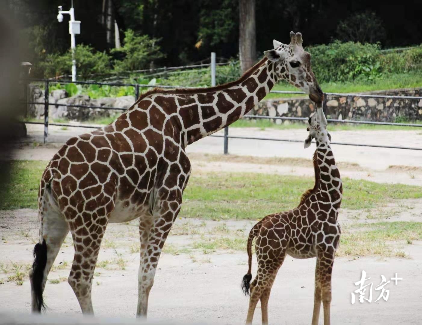    南方+ 符超军 拍摄