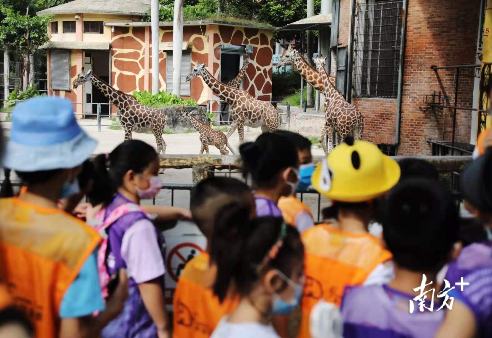    南方+ 符超军 拍摄