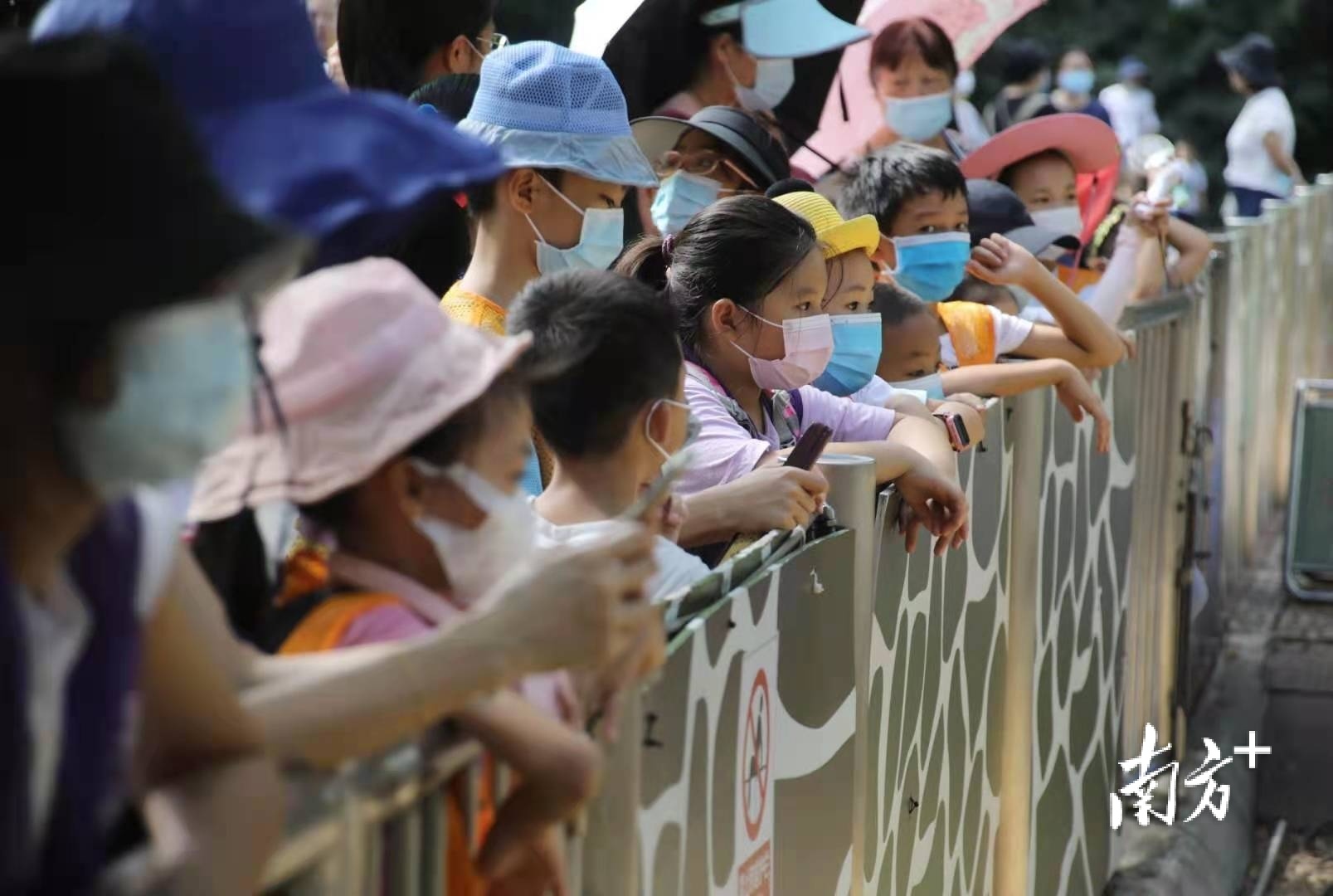    南方+ 符超军 拍摄