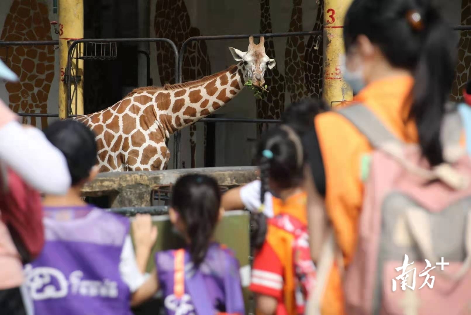    南方+ 符超军 拍摄