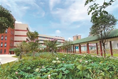 广州市执信中学南沙学校为区属公办九年一贯制学校，学校办学规模为54个教学班，其中小学36个班，初中18个班。