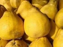 今天，长坝沙田柚“霸屏”北京西站！