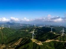 主动担当作为 做好迎检准备|速览《南方日报·电白视窗》43期