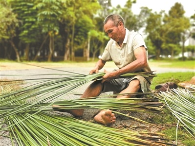 莞草种植技艺传承人王祐 莞草种植技艺传承人王祐