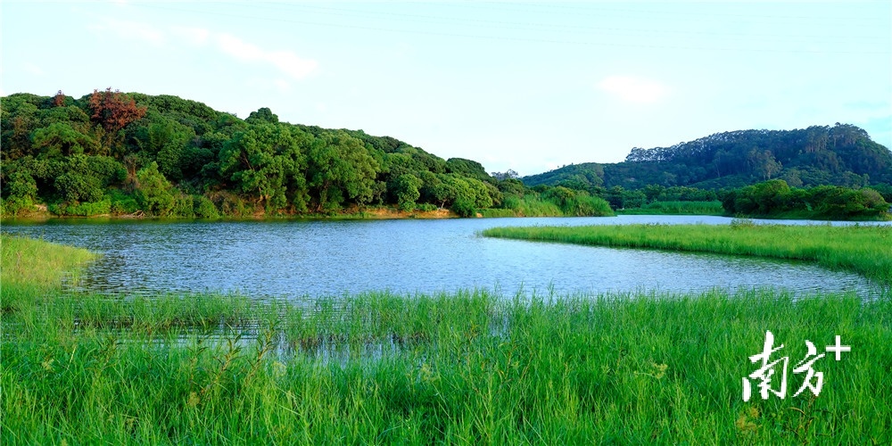 湿地公园水清岸绿。李鄂摄