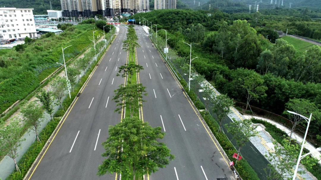 坪山新路来了马峦北路南段通车家门口的大项目