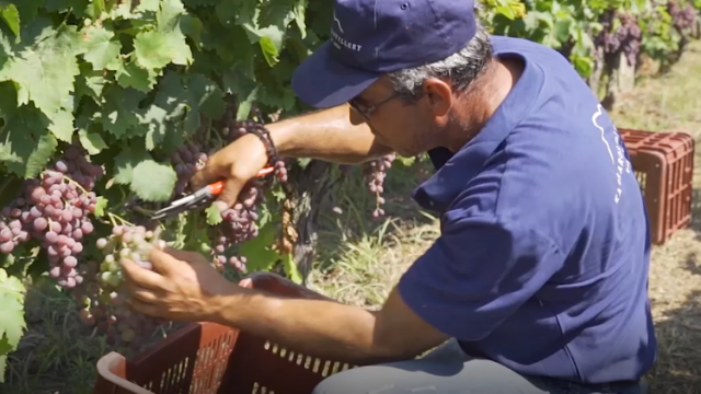 中博会让希腊公司拥有更多机会接触新客户
