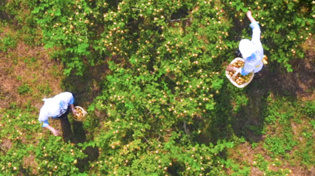 中博会助力企业拿订单，增强企业获得感